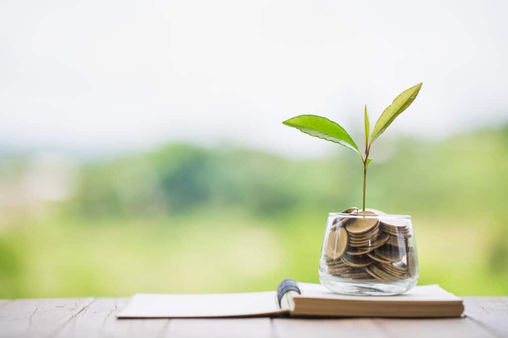 Green tree growing on money